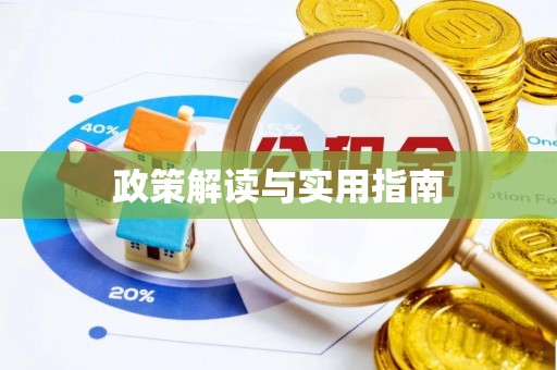 皮山政策解读与实用指南