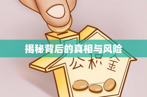 皮山揭秘背后的真相与风险