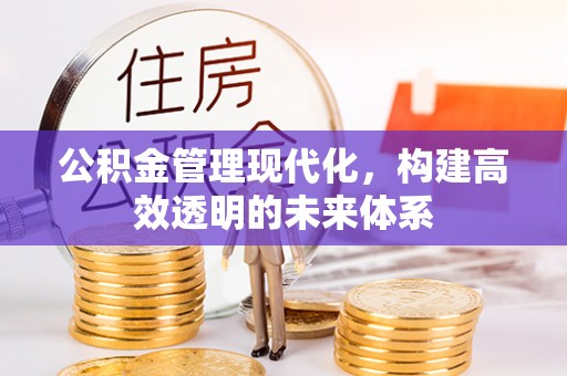 皮山公积金管理现代化，构建高效透明的未来体系