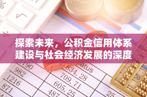 皮山探索未来，公积金信用体系建设与社会经济发展的深度融合