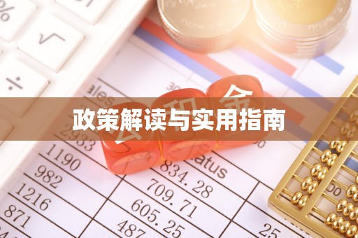 皮山政策解读与实用指南
