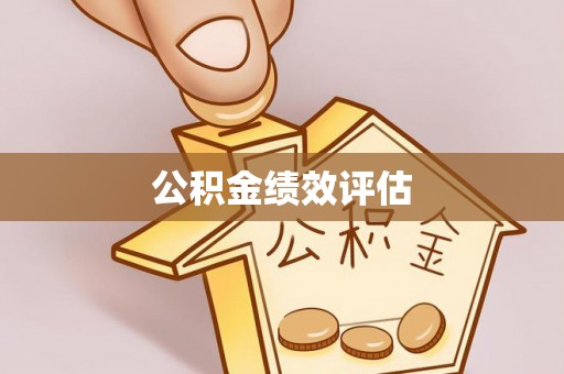 皮山公积金绩效评估