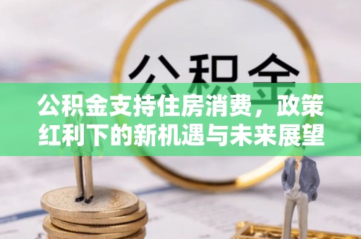 皮山公积金支持住房消费，政策红利下的新机遇与未来展望