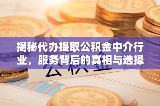 皮山揭秘代办提取公积金中介行业，服务背后的真相与选择指南