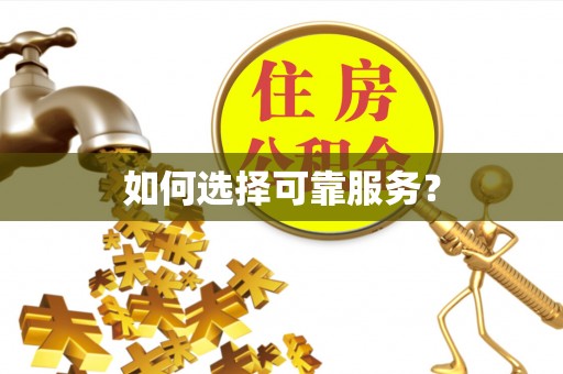 皮山如何选择可靠服务？