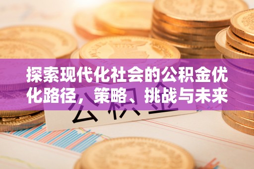 皮山探索现代化社会的公积金优化路径，策略、挑战与未来展望