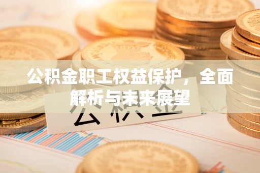 皮山公积金职工权益保护，全面解析与未来展望