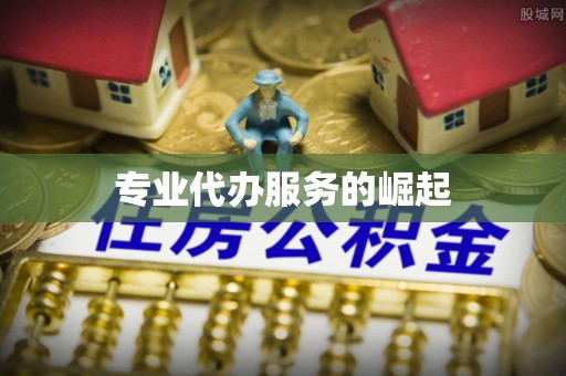 皮山专业代办服务的崛起