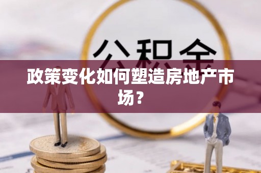 皮山政策变化如何塑造房地产市场？