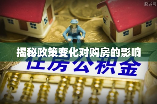 皮山揭秘政策变化对购房的影响