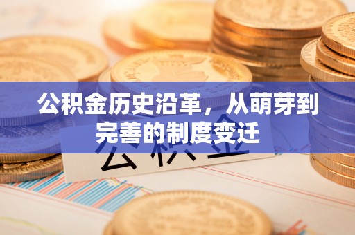皮山公积金历史沿革，从萌芽到完善的制度变迁