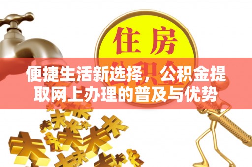 皮山便捷生活新选择，公积金提取网上办理的普及与优势