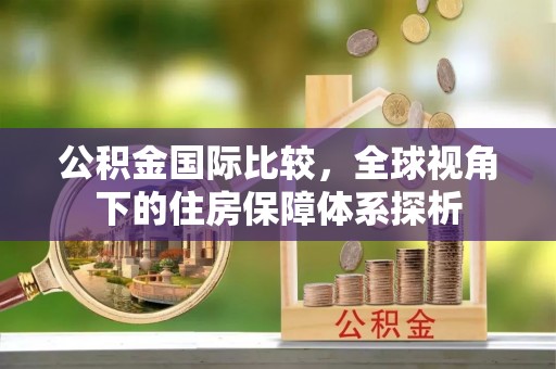 皮山公积金国际比较，全球视角下的住房保障体系探析