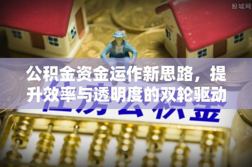 皮山公积金资金运作新思路，提升效率与透明度的双轮驱动