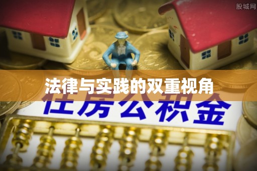 皮山法律与实践的双重视角