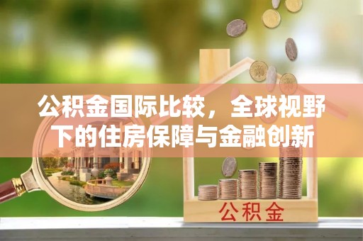 皮山公积金国际比较，全球视野下的住房保障与金融创新