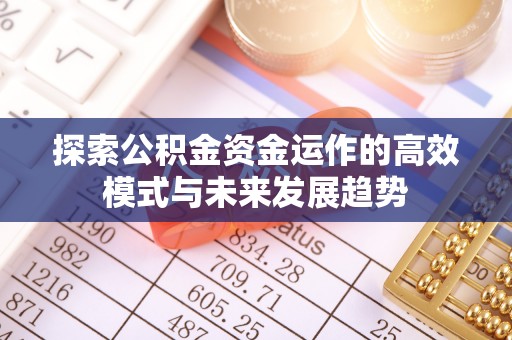 皮山探索公积金资金运作的高效模式与未来发展趋势