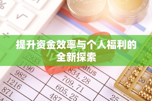 皮山提升资金效率与个人福利的全新探索