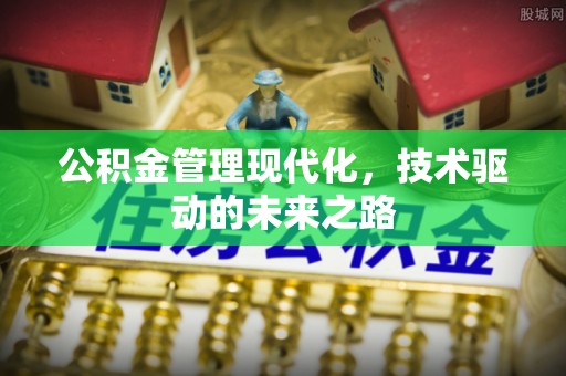皮山公积金管理现代化，技术驱动的未来之路